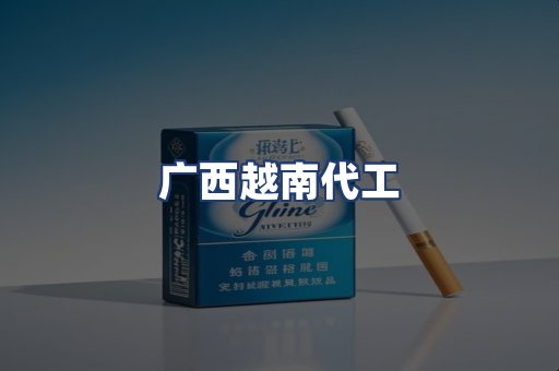 广西越南代工